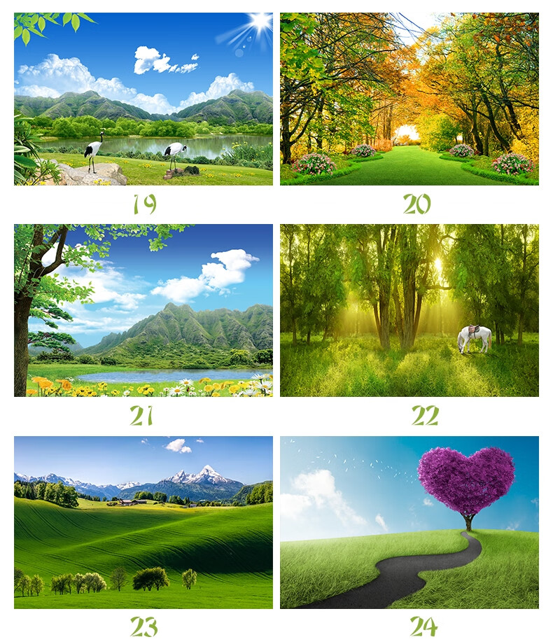 墙贴画自粘仿真风景贴画树林森林壁画墙纸卧室客厅背景装饰墙画款式1