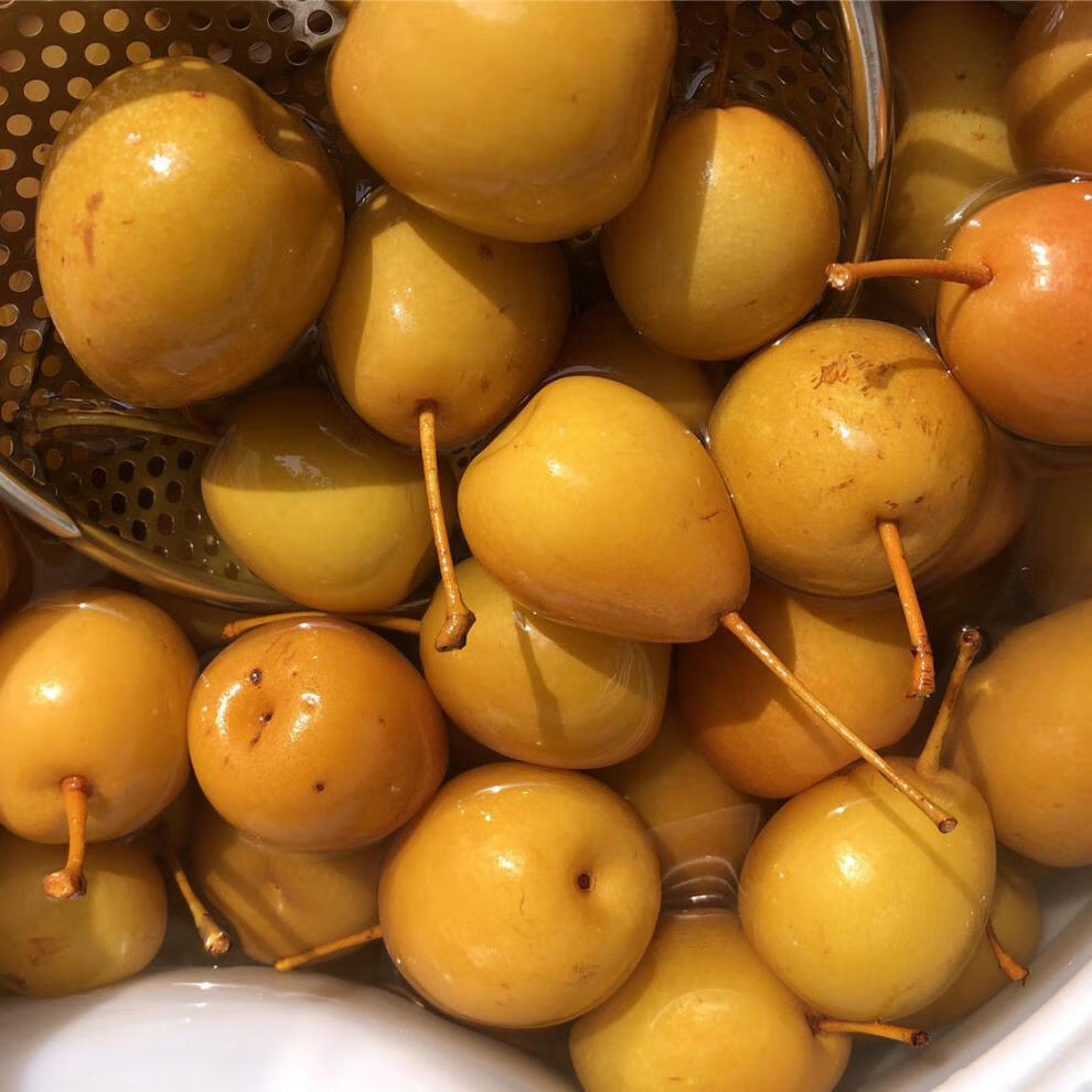 广西南宁横县特产酸嘢酸甜沙梨泡梨李子芒果萝卜仔葡萄500克 1斤冰糖