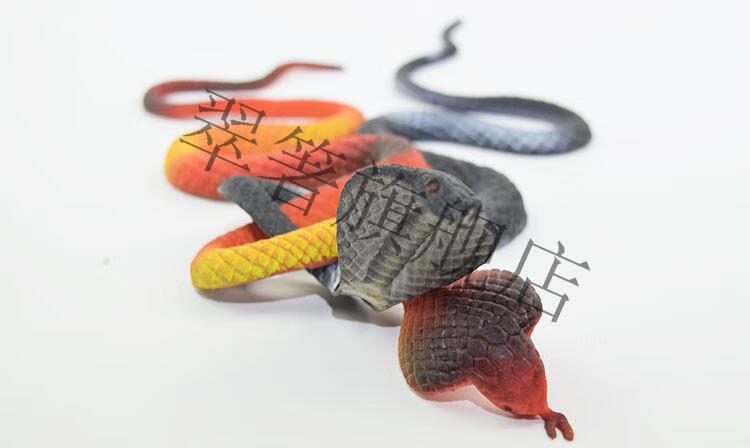 抖音同款泡水蛇 水蛇泡水变大膨胀整蛊玩具 吸水变大水宝宝儿童夜市