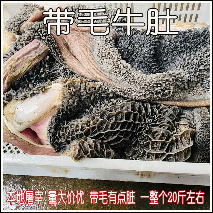 展志曼智生牛肚带毛牛肚子牛肚新鲜牛肚生牛肚毛肚5斤