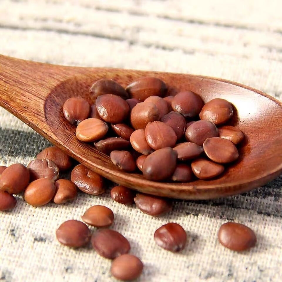 有仁堂酸枣仁炒酸枣仁熟酸枣仁中药材酸枣仁酸枣仁睡眠茶年货生酸枣仁