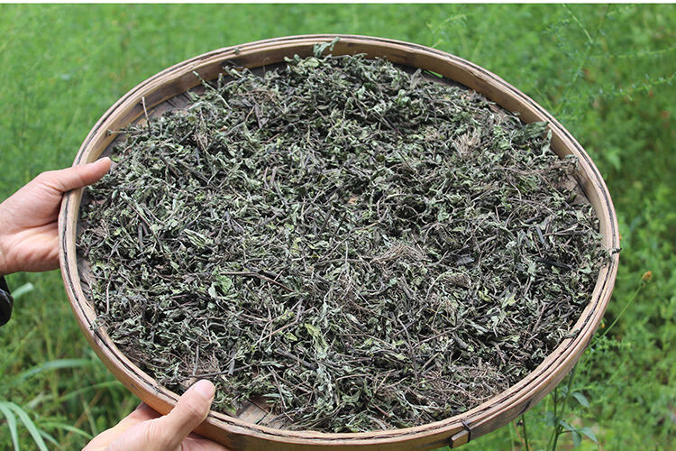 北京同仁堂 旱墨莲干500g中药材农家生晒墨旱莲旱莲草墨水草新晒