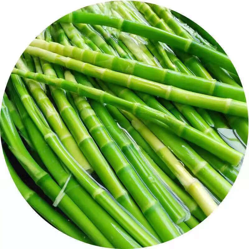 高山绿笋小竹笋野生新鲜现挖麻辣烫春笋全淡火锅笋尖 非开袋即食 无