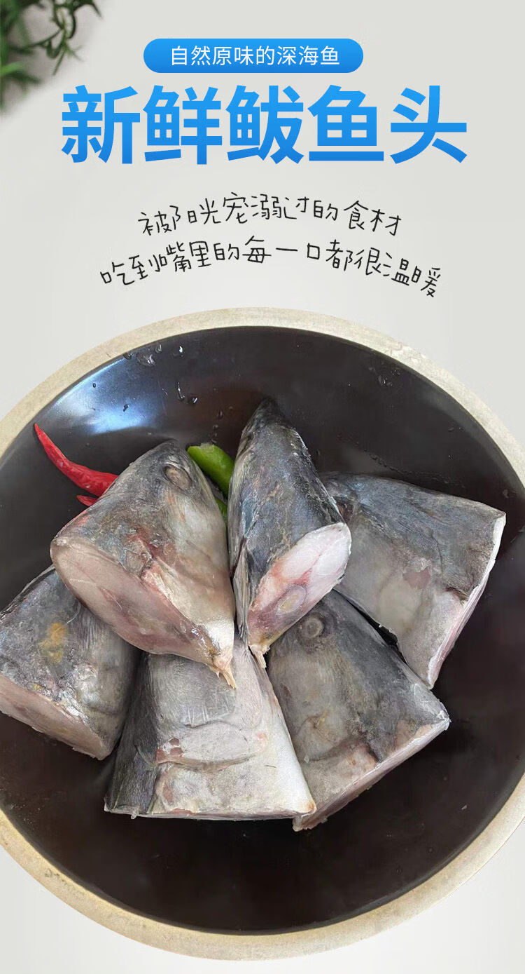 鲅鱼头新鲜野生燕鲅鱼大马鲛鱼馅饺子海鱼海鲜冷冻批发 鲅鱼头3斤