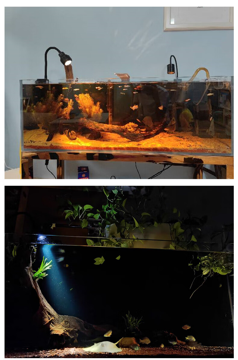 yee变焦鱼缸射灯南美造景专用灯三湖观赏原生缸水草灯小型鱼缸灯5w