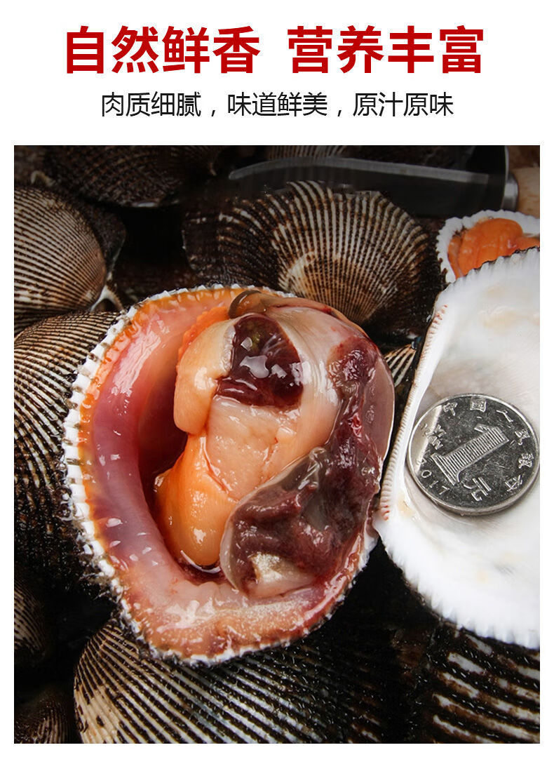 鲜活大毛蛤大毛蚬毛钳贝类赤贝血蛤银钳雪蛤海鲜水产新鲜 买四斤赠四