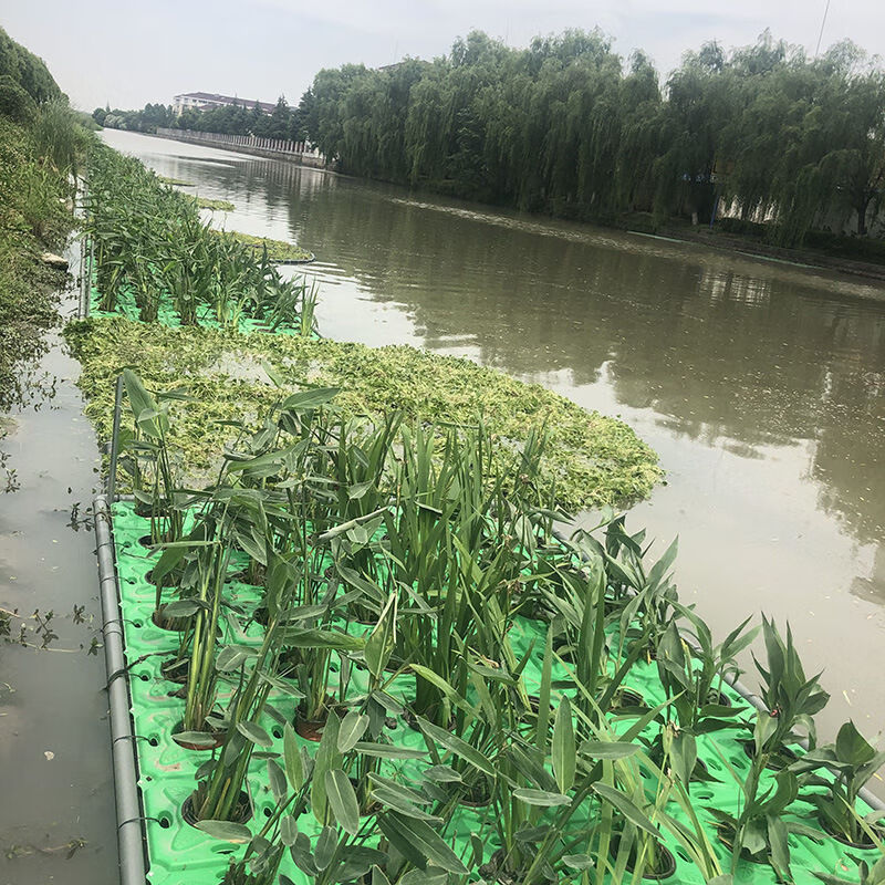 生态浮岛水上种植人工生态浮床浮岛水生植物绿化造景河道水面景观请