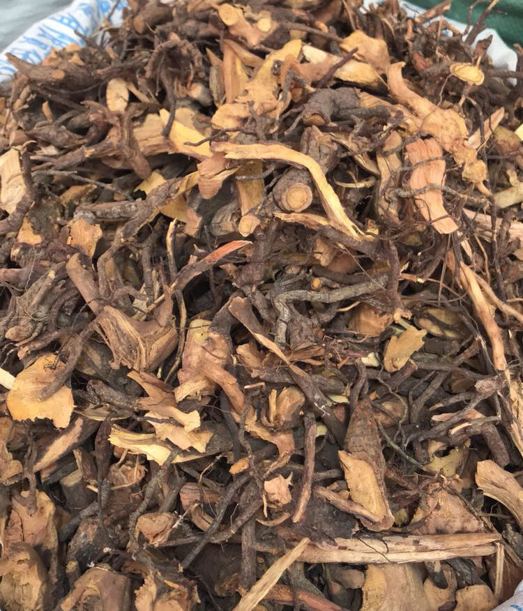 北京同仁·堂原料苦里根新货干苦里根中药材睇牛仔 狐狸根 拿柳 山黑