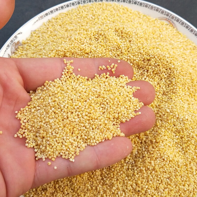 有仁堂中药材北秫米优质糯秫北术米秫米汤小黄米年货100克