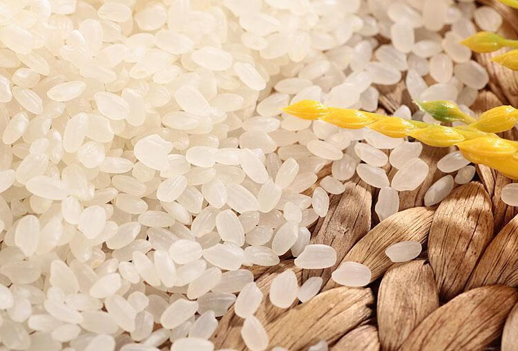 5kg日本东北丹东东港柳林米 五四农场海阗非抛光寿司米 如图【图片