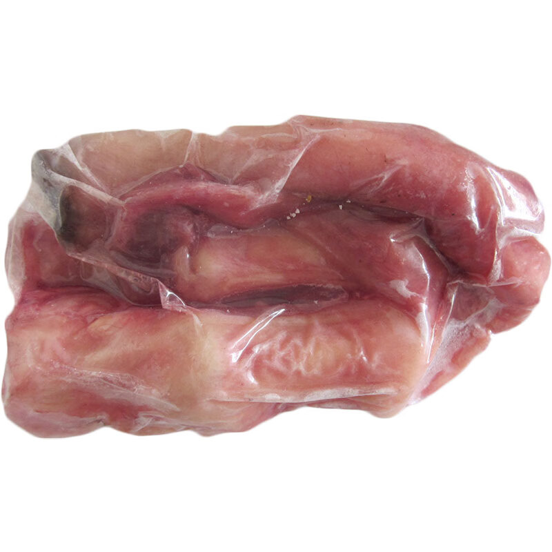 骆驼掌 阿拉善驼掌 重1公斤以上 生鲜食用 内蒙古 放养骆驼掌 新鲜驼