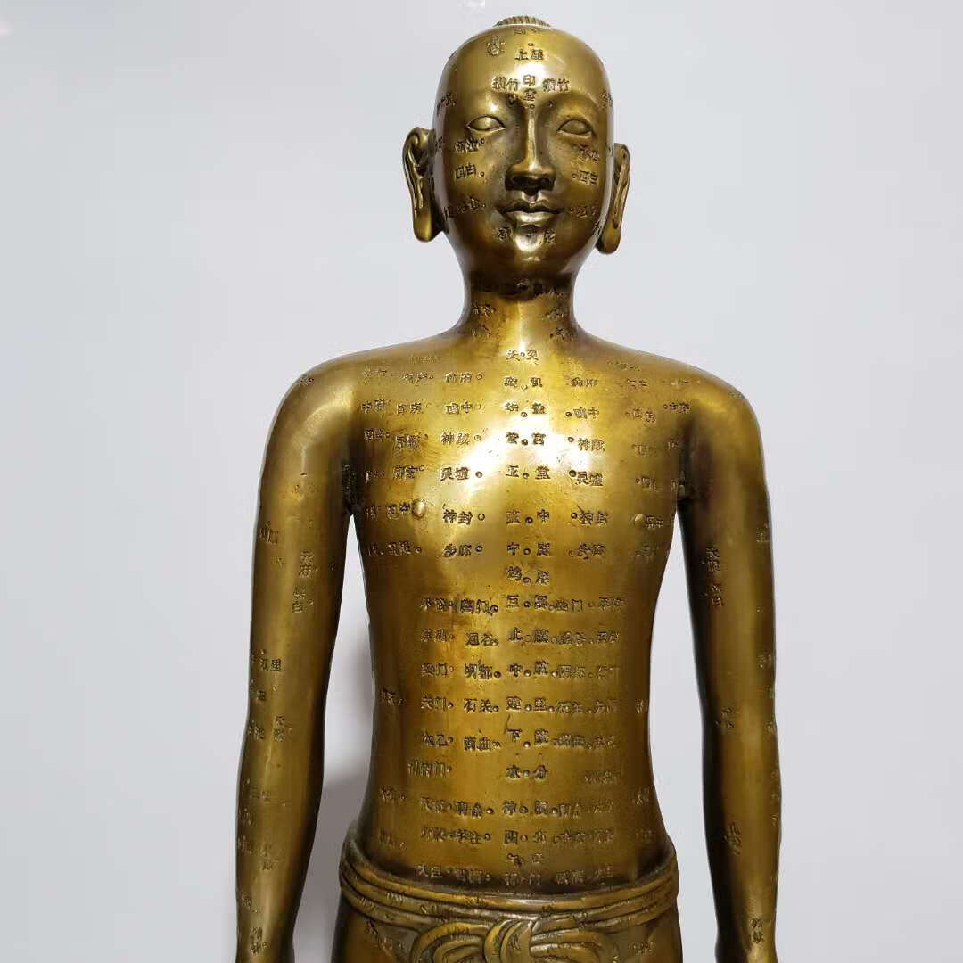 适用于纯铜穴位人针灸人体男女模型铜人艾灸经络图中医药王医馆展示