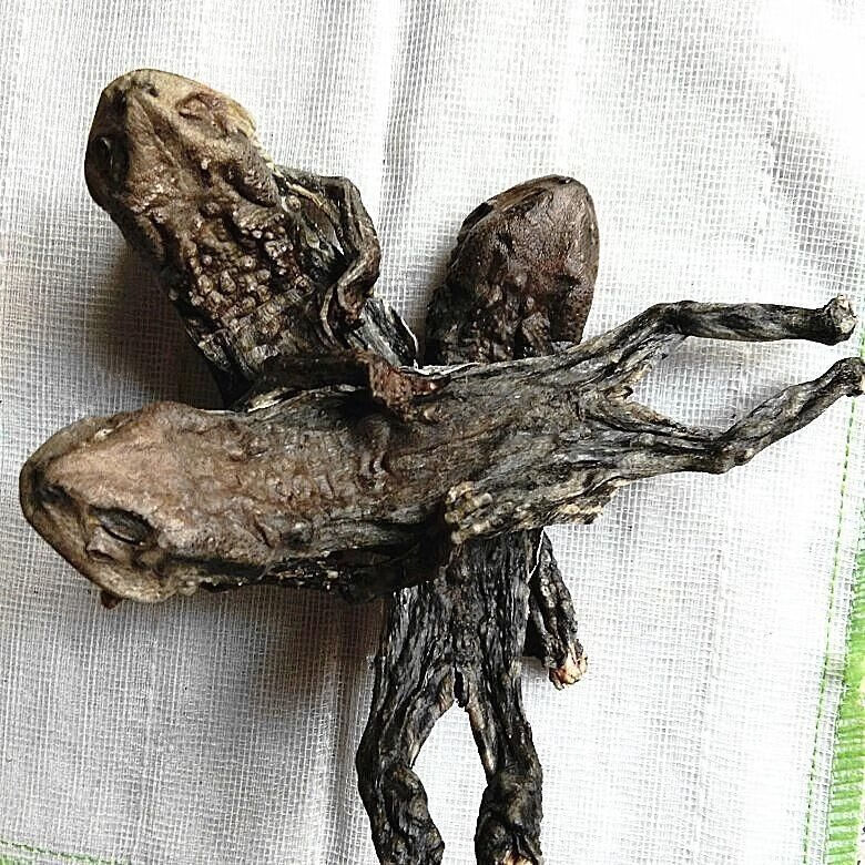 中药材干癞蛤蟆干100g起100克
