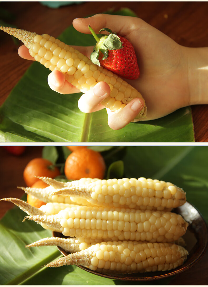 云南西双版纳傣家白糯迷你手指拇指小玉米1100g