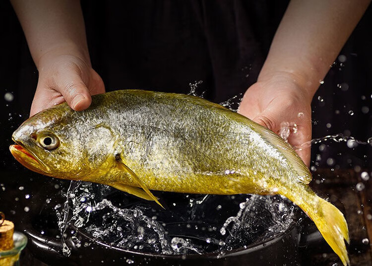 舟山东海新鲜深海大黄鱼干黄花鱼鲜水产生鲜活真空包装冷冻 2条装(独