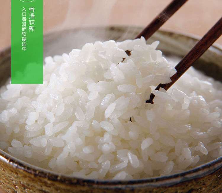 韶关马坝油粘米5公斤大米南方籼米5kg的广东10斤粘米品油【图片 价格