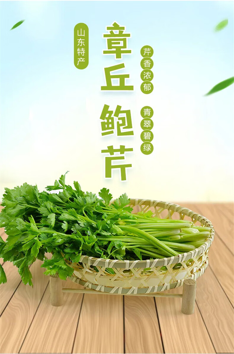 顺丰快递顺丰章丘鲍芹新鲜蔬菜礼盒带箱5斤正宗鲍芹农家自种芹菜1500g