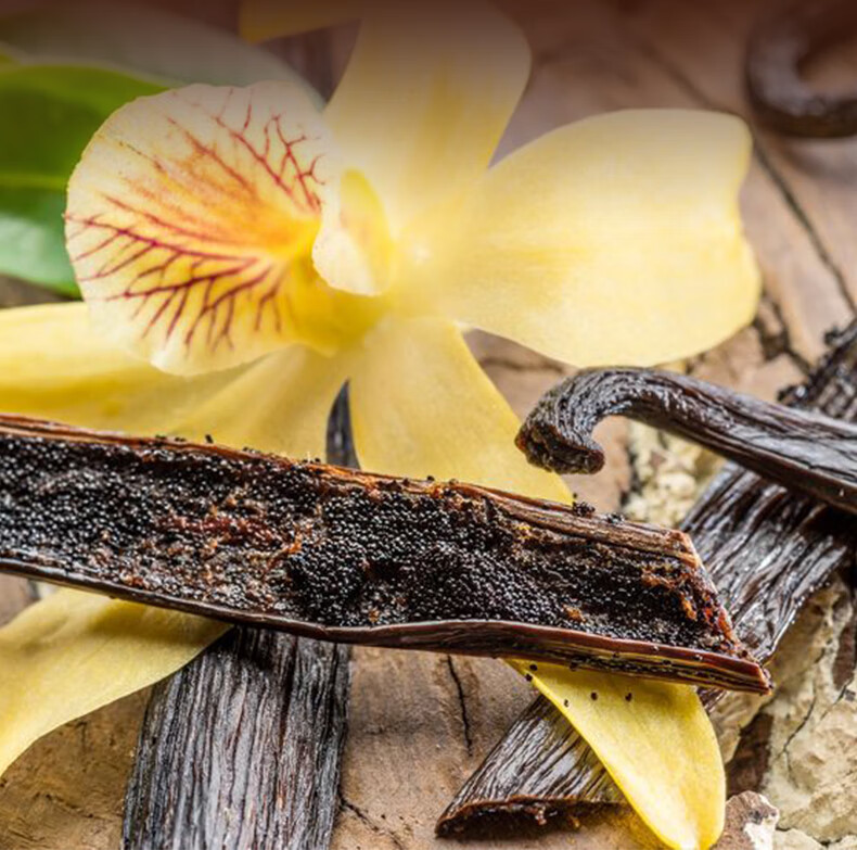 马达加斯加进口香草荚烘焙香草荚籽香草精蛋糕食用香草膏香草豆荚