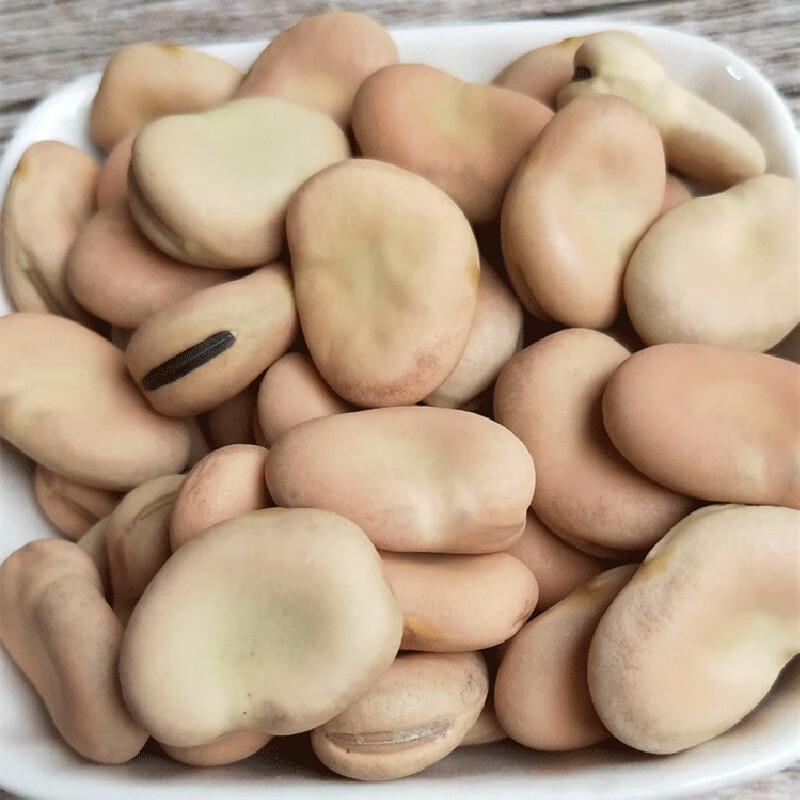 精选早熟蚕豆种子大粒罗汉豆农家胡豆高产大荚福豆大田四季播种籽 黄