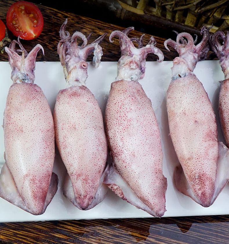 满籽籽乌全籽籽乌生鲜海兔笔管鱼墨鱼鱿鱼墨斗鱼烧烤海鲜 【精选原籽