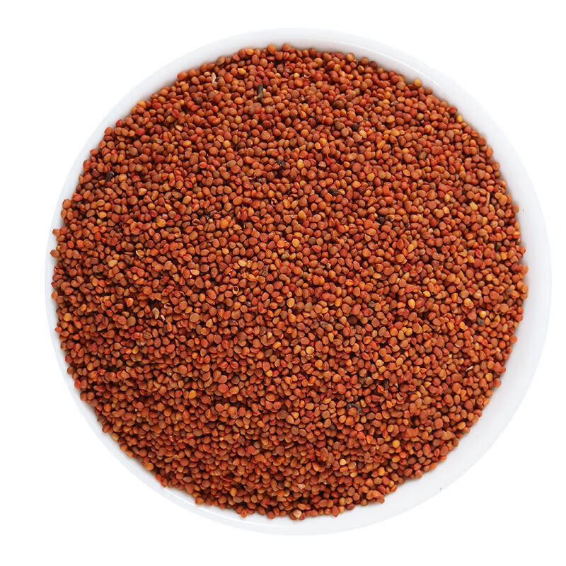 新货 楮实子 中药材褚实子 楮实米 野生楮实子 100-500克 官方直营楮