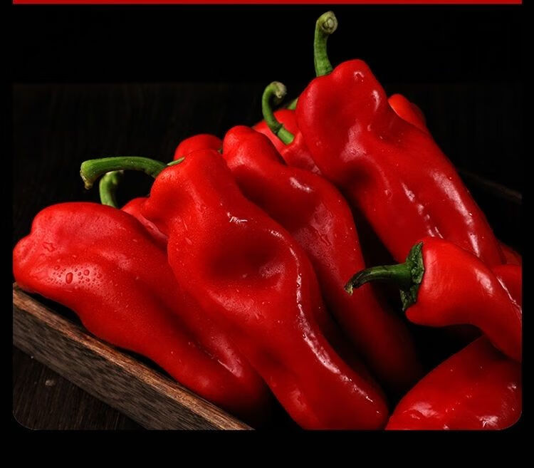 产地直销新鲜红辣椒红尖椒大红泡椒微辣剁椒辣椒酱现摘现发新鲜大红椒