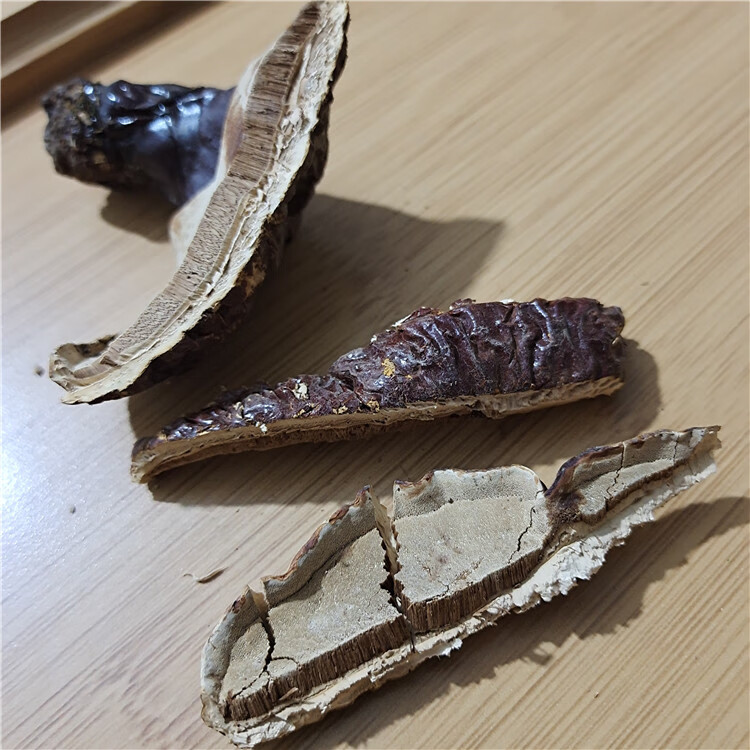 东北林下木灵芝白肉灵芝长白山松杉灵芝白心赤芝250g