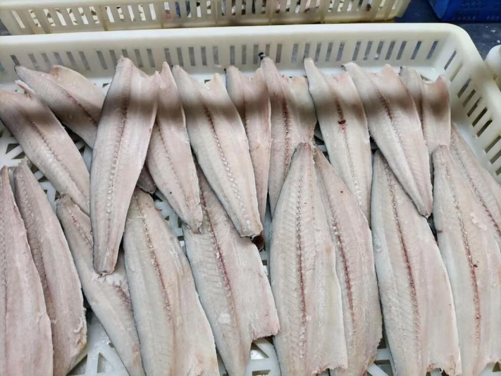 轻恋鲅鱼片新鲜冷冻大鲅鱼马鲛鱼水饺馅海产冻鱼批发