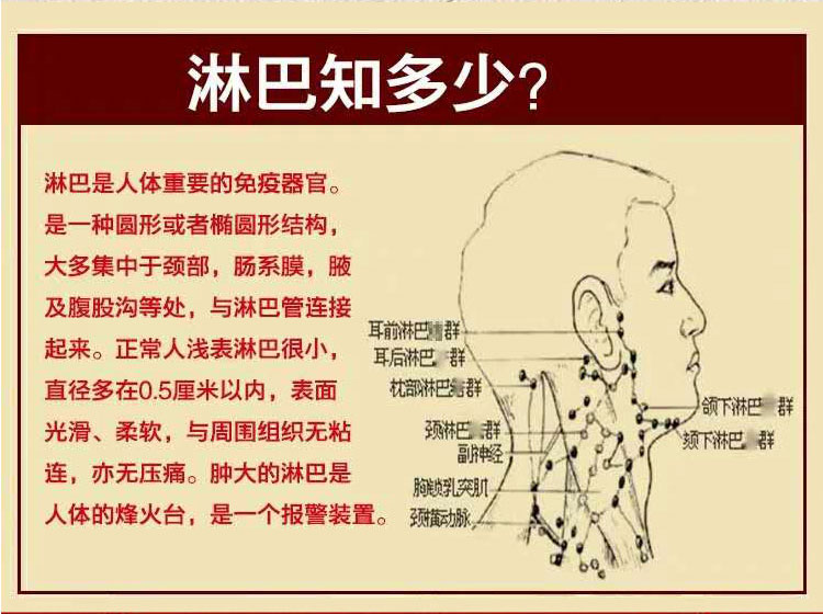 官方旗舰淋巴结消贴颈部淋巴结消贴去颈部耳后腋窝下淋巴结肿大散结膏