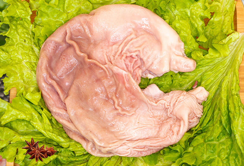 顺丰直达猪肚装猪肚子新鲜整只农家土猪肚子整个猪胃生猪肚去油精修福