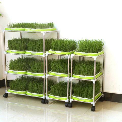 盆塑料加密芽苗菜花架豆芽水培无土栽培育苗架子单排3层3盘3种壶纸款