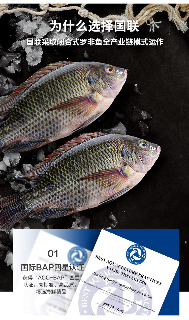 国联水产三去罗非鱼脆肉新鲜冷冻速冻罗非鱼鲜活2条包700g