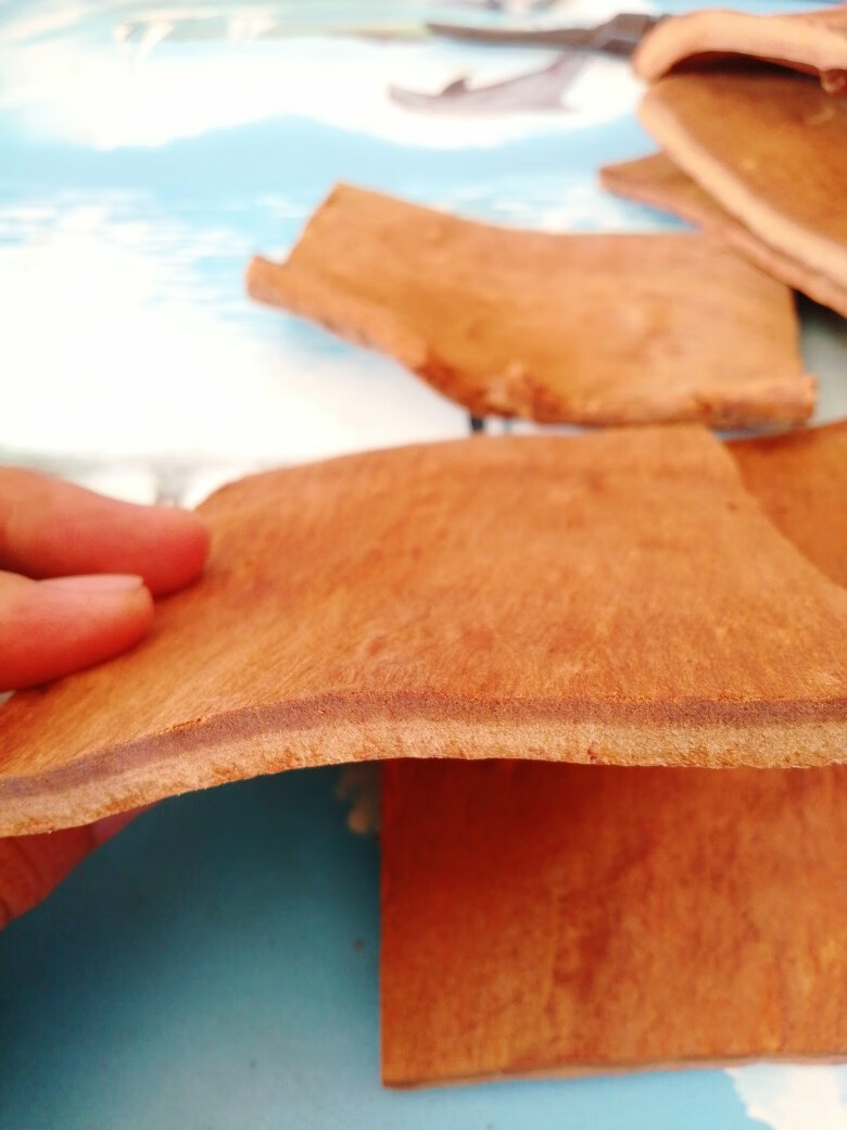 5折 百年树龄油桂非广东 越南肉桂 紫油桂500g【图