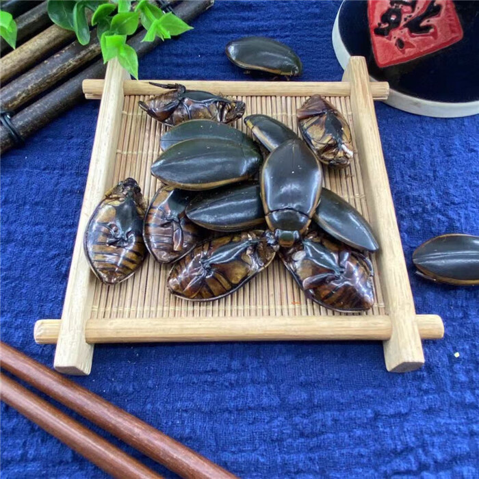 金边龙虱中药材大龙虱500g克 黄缘龙虱干品 水鳖虫 射尿龟【图片 价格