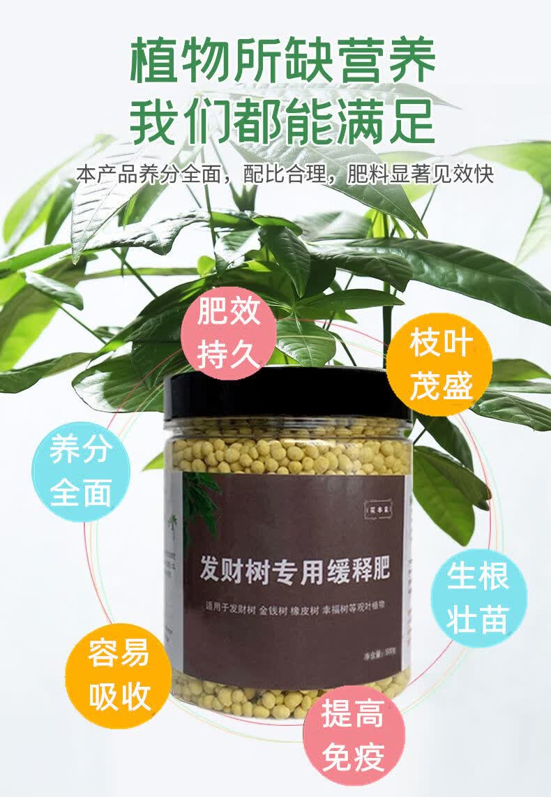 100克发财树专用肥1袋【图片 价格 品牌 报价】-京东