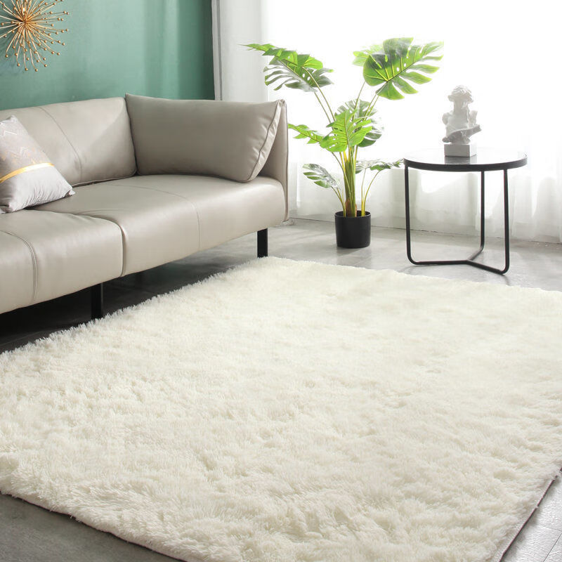 太美鑫ins地毯卧室少女耐脏床边毯铺地客厅大面积全铺房间装饰好物