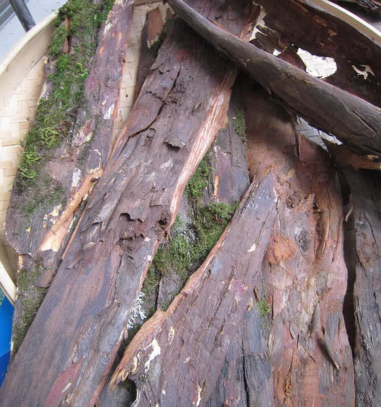 红豆杉树皮干货赤柏松南方红豆杉树皮树根叶果实红豆杉树皮500克