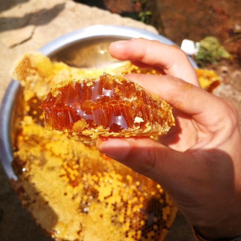 土蜂蜜农家纯正木桶百花蜜野生悬崖蜜秦岭大别山结晶蜜蜜森林蜜1瓶