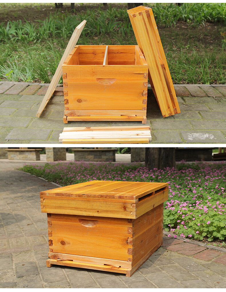 活动底蜂箱中蜂蜂箱全套养蜂工具专用煮蜡杉木标准十框平箱密峰箱