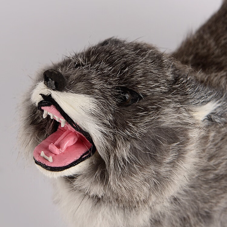 &Φ迪士尼品牌官方旗舰新款儿童仿真狼摆件展示狼图腾动物模型摆件纯