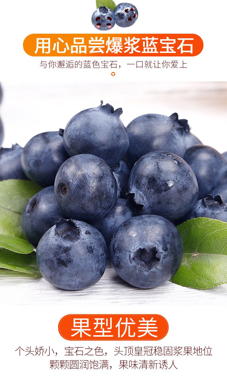 蓝莓鲜果当季新鲜孕妇水果宝宝辅食6盒大果吃货装