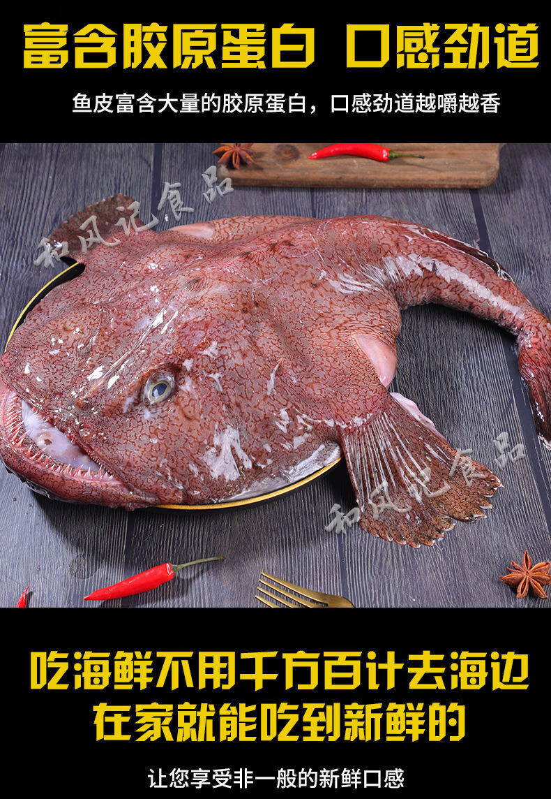 新鮮安康魚超大蛤蟆魚鮟鱇燈籠魚海捕速海魚凍殺好去內臟保留肝肚速凍