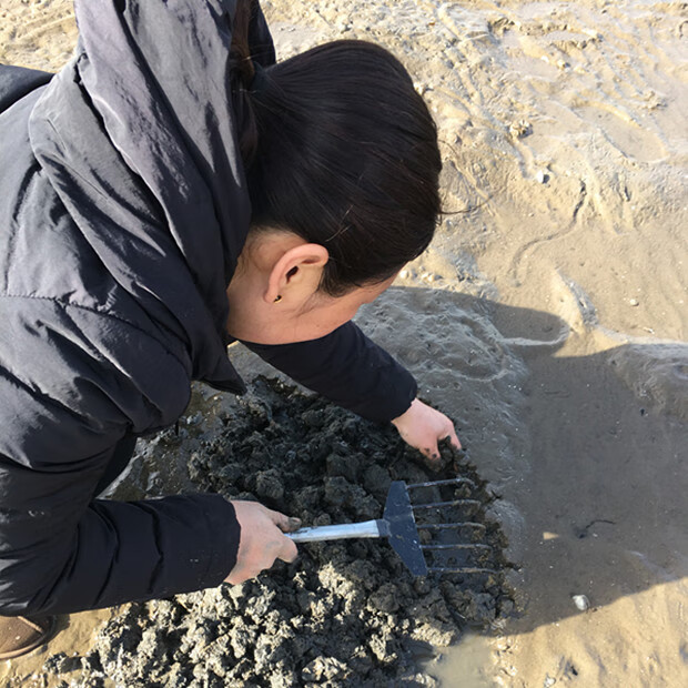 蛤蜊耙子沙灘不鏽鋼挖貝殼海鮮蟶子蜆子小耙子趕海工具小鏟子加厚