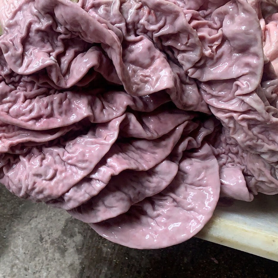 新鲜半熟牛伞肚牛散带牛副肚牛小肚牛碗口大肠头2斤 5斤【图片 价格