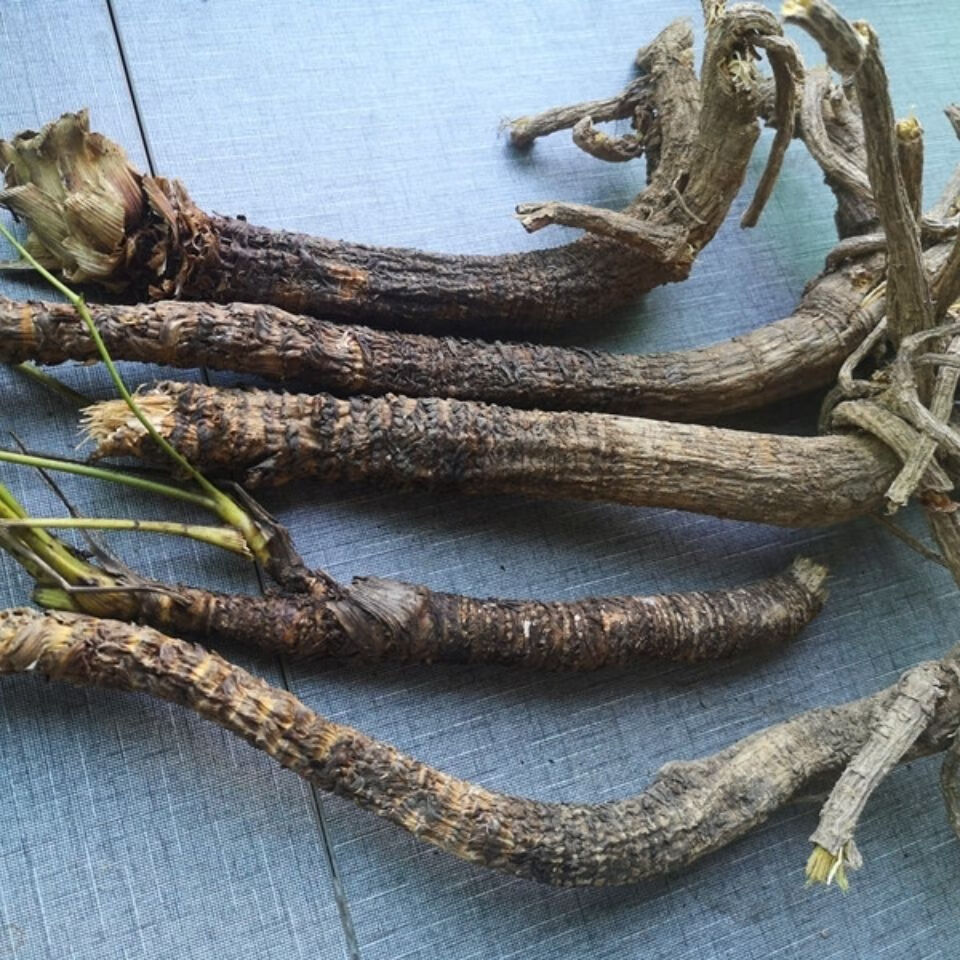 康中尊 贵州野外生岩川芎根干货500克 中药原材料岩防风野川芎光头