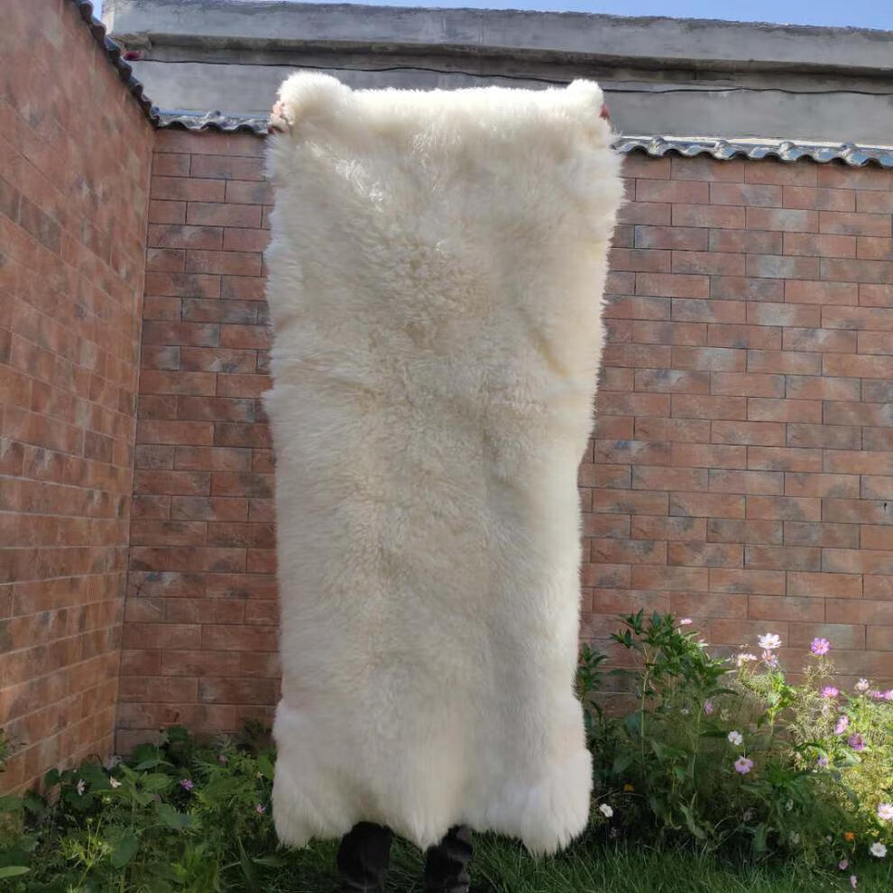 羊皮褥子皮毛一体铺垫褥子羊皮褥子褥子保暖防潮羊毛褥子单人皮毛一体