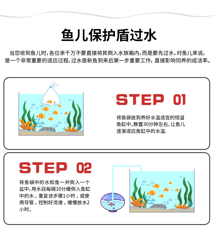 柠檬天使5条装【图片 价格 品牌 报价】-京东