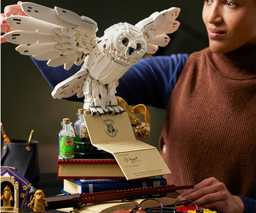 乐高(lego)积木 哈利波特系列 76391 霍格沃茨经典藏品 拼插积木男孩