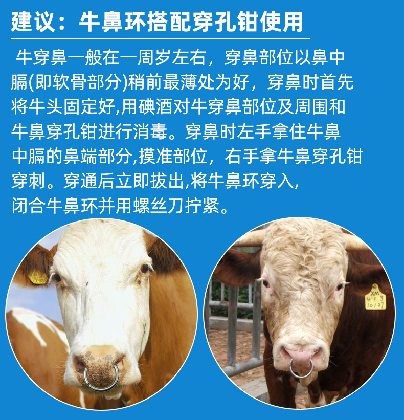 牛用牵引工具畜牧兽用养殖器具牛鼻圈 中号碳钢牛鼻环1个【图片 价格