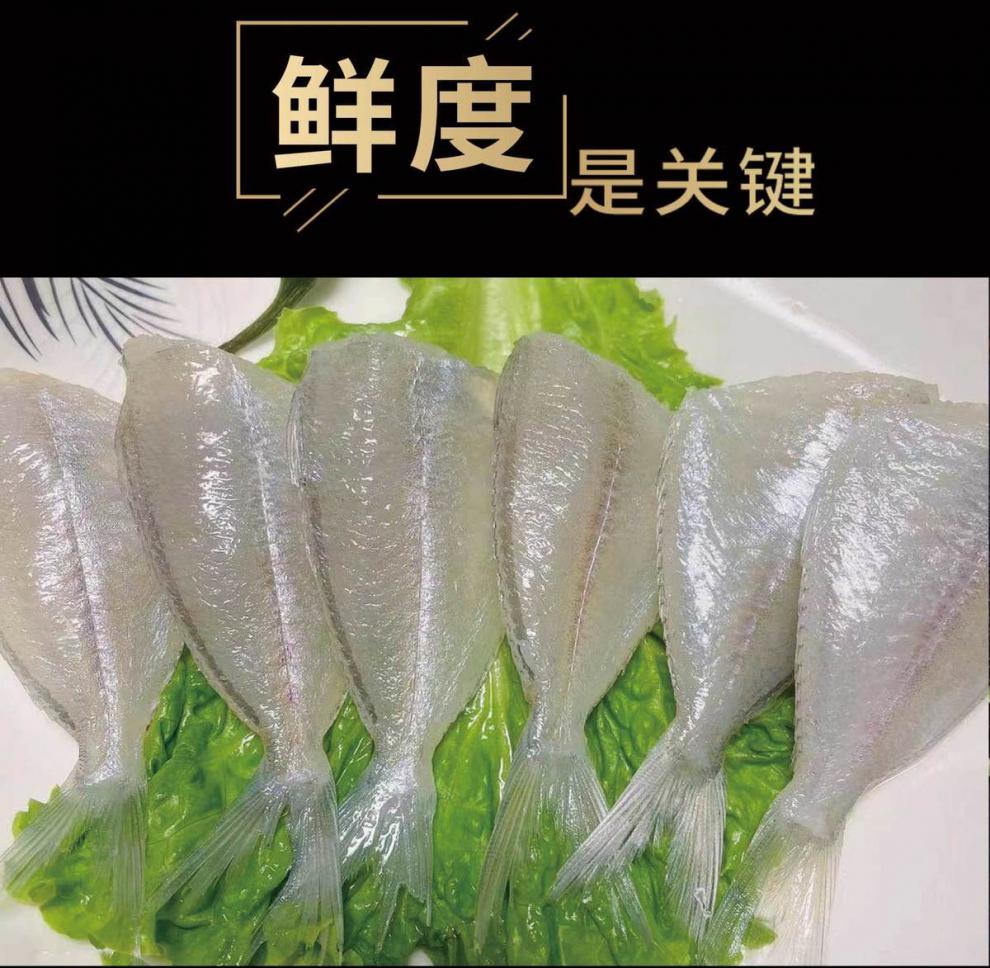 扒皮魚新鮮小耗兒魚冷凍馬面魚白尾剝皮魚批發整箱火鍋生鮮2斤包1包2